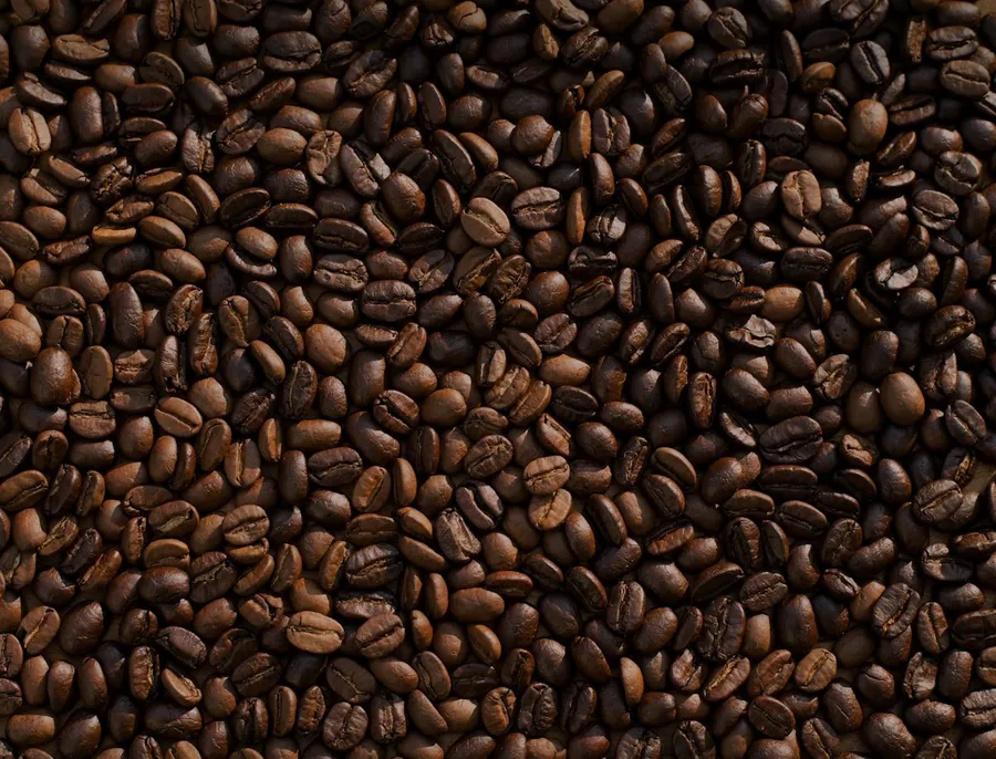 Roasted Arabica coffee beans